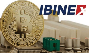 IBINEX